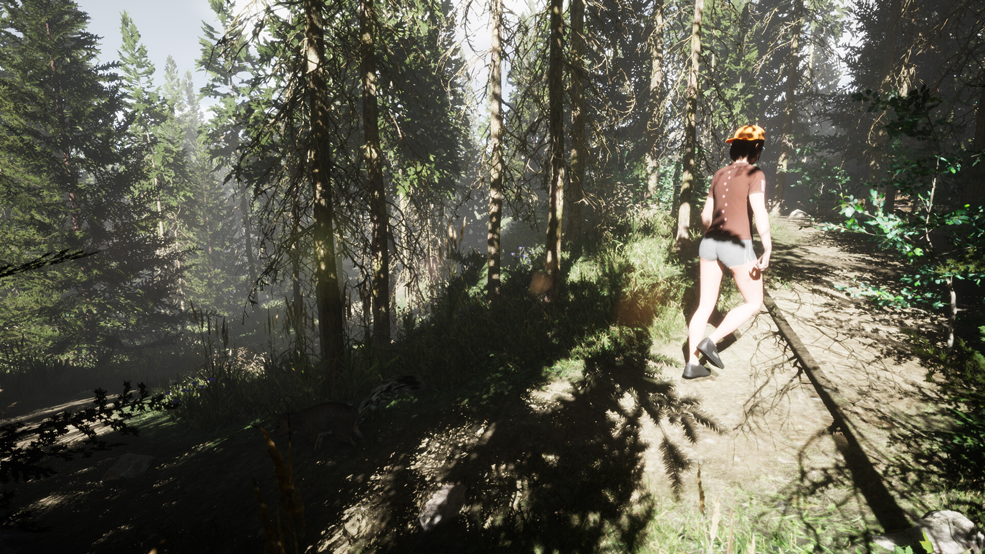 Wild Encounters - Cedar Woods Campground screenshot 11