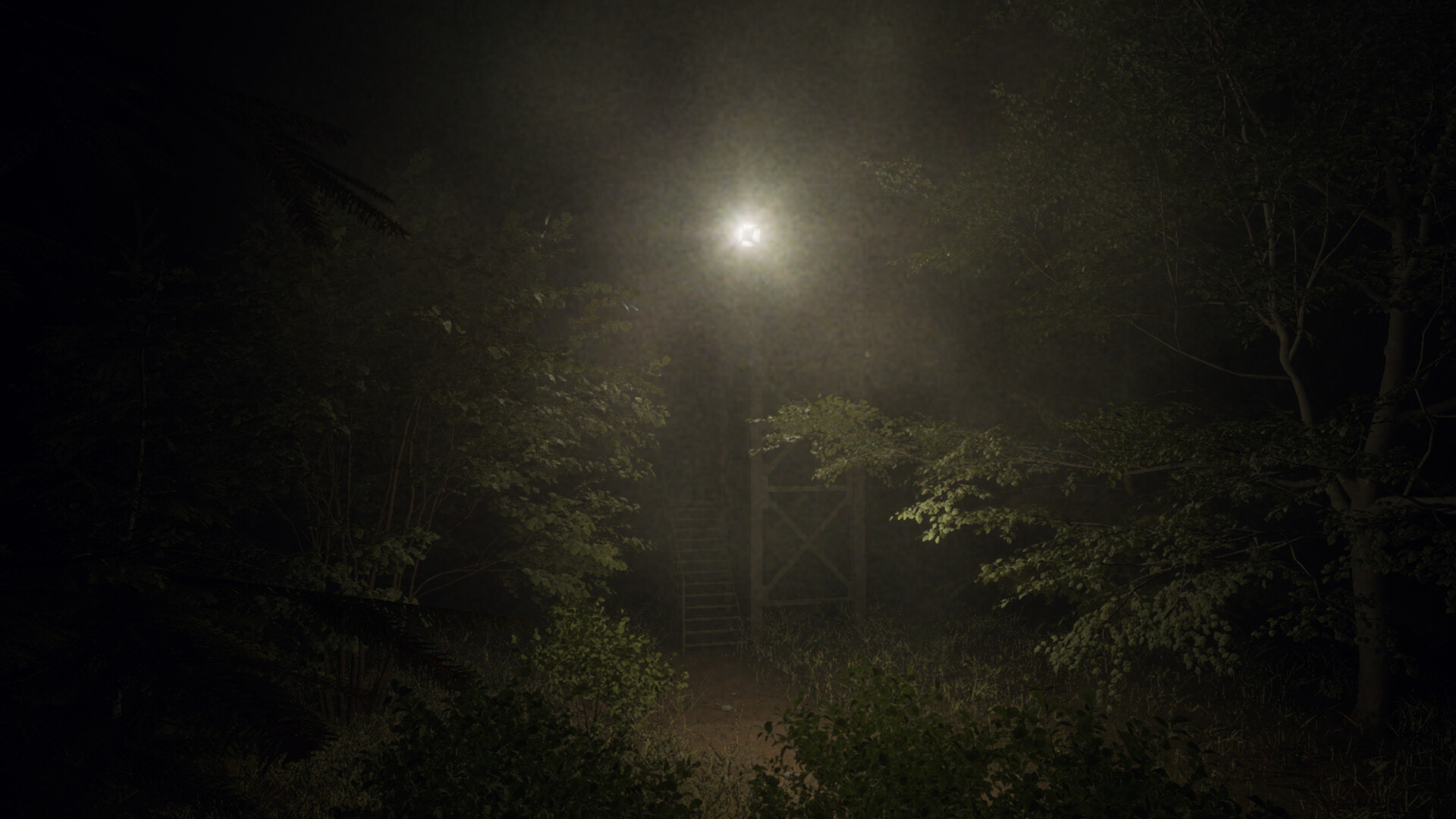 Slenderman: Shadow of the Forest screenshot 6