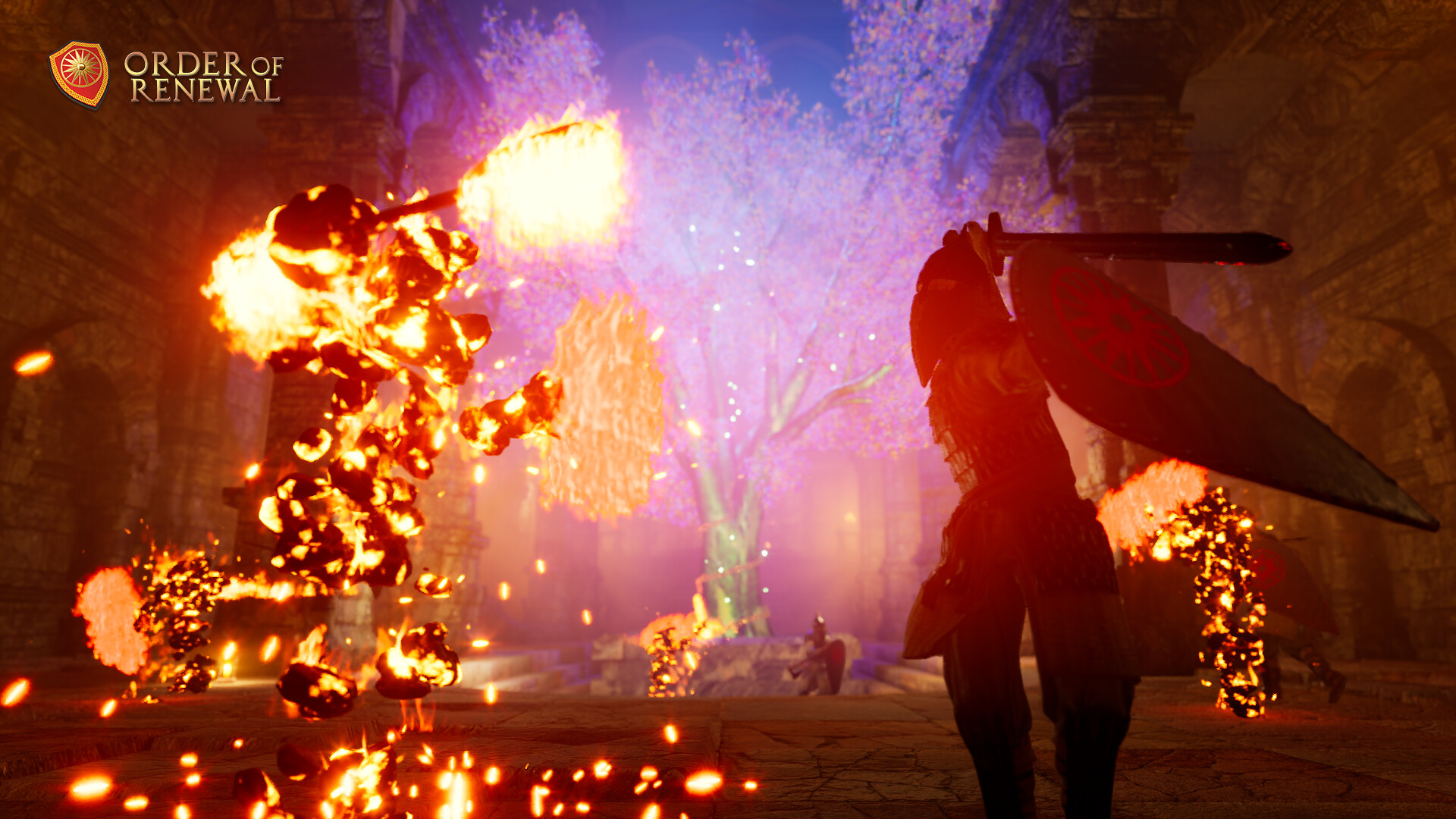 Order of Renewal screenshot 7