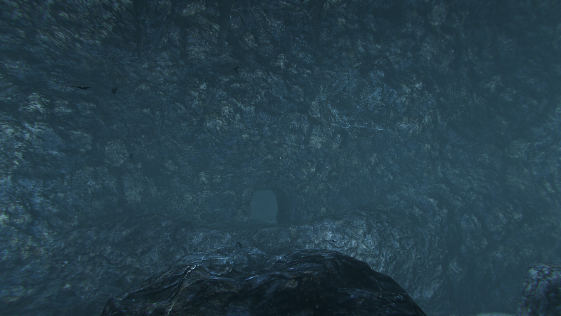 Cassiculus screenshot 6