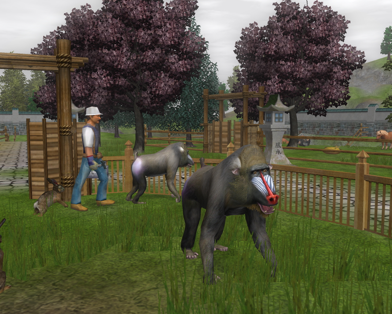 Wildlife Park 2 - Crazy Zoo screenshot 15