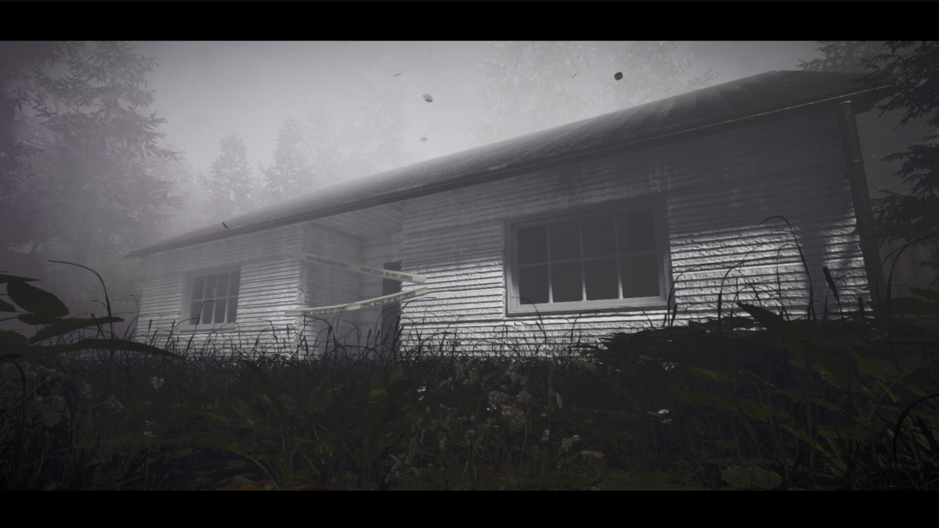 Distant screenshot 5