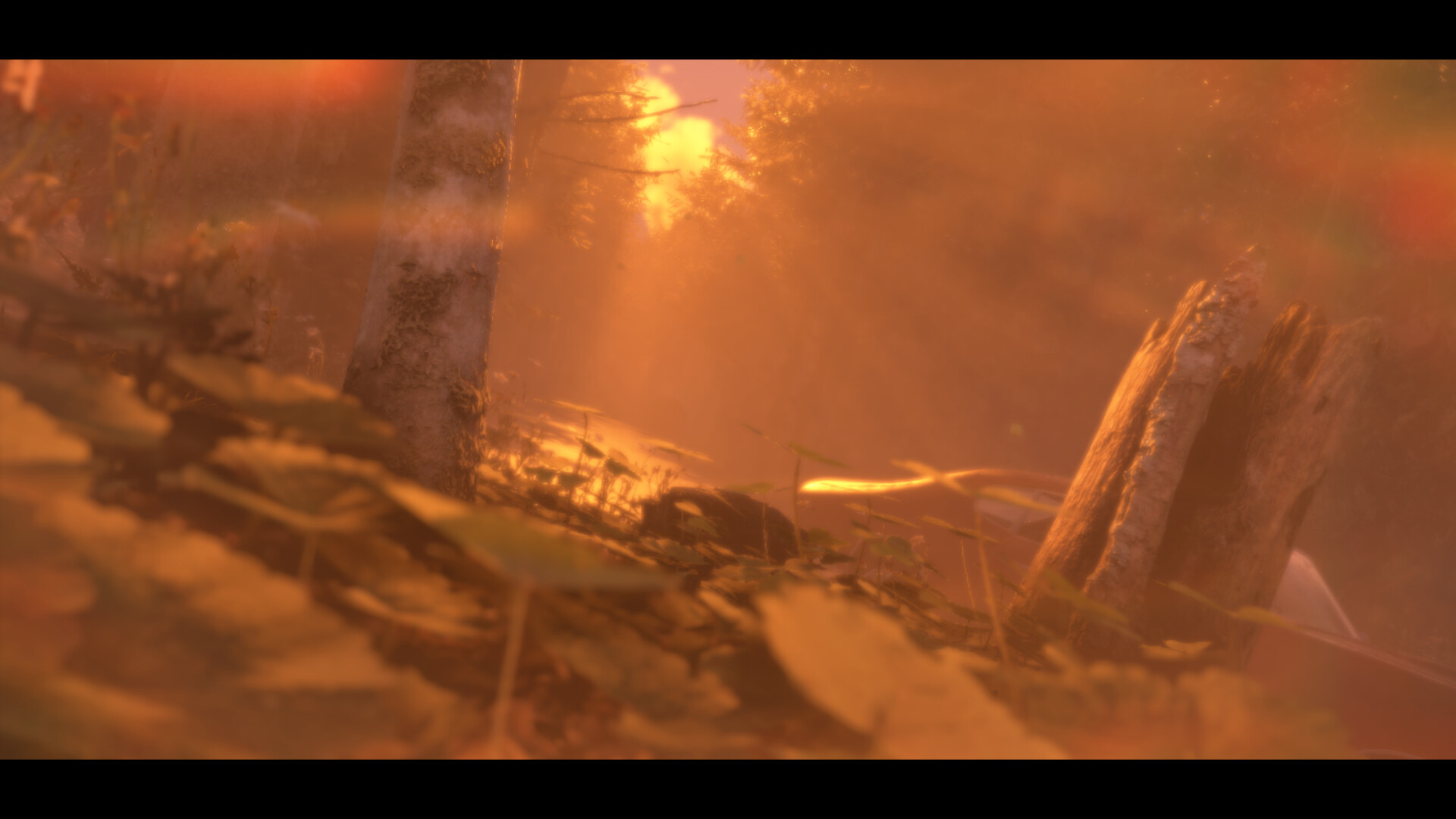 Distant screenshot 1