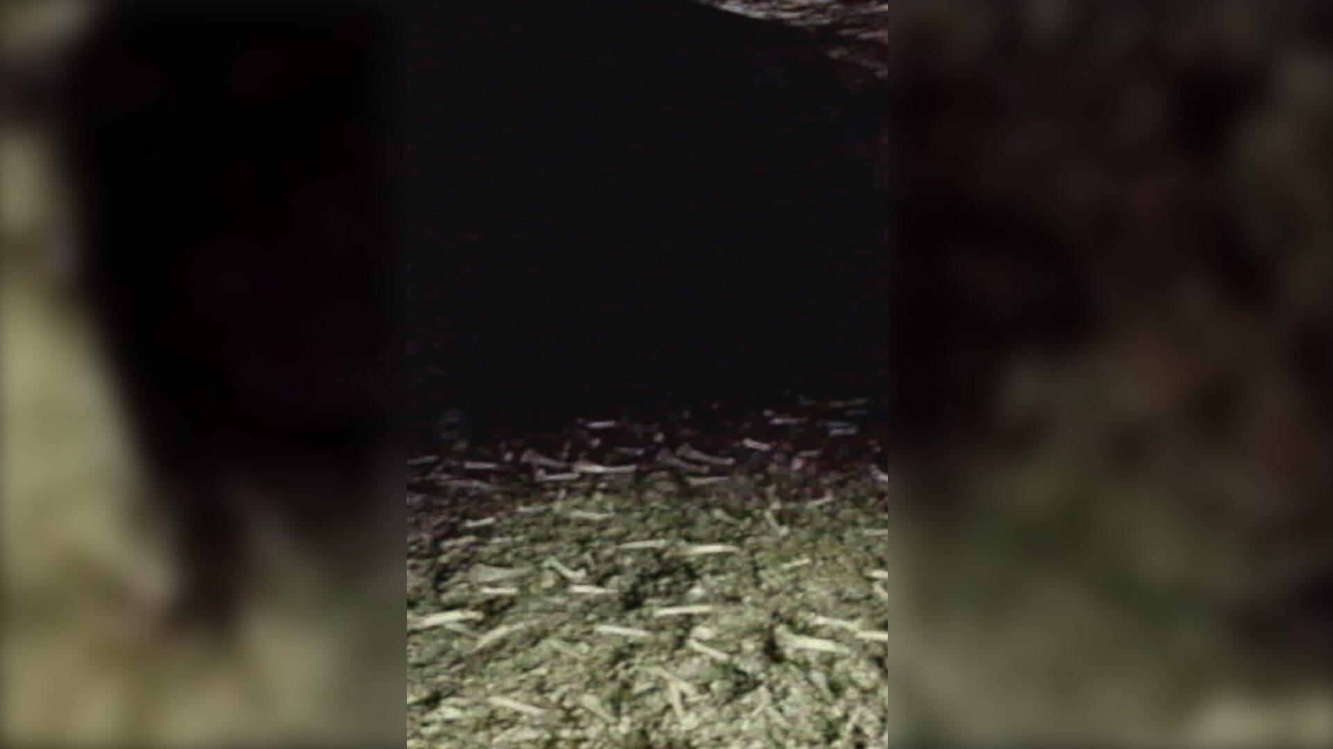 Missing screenshot 4