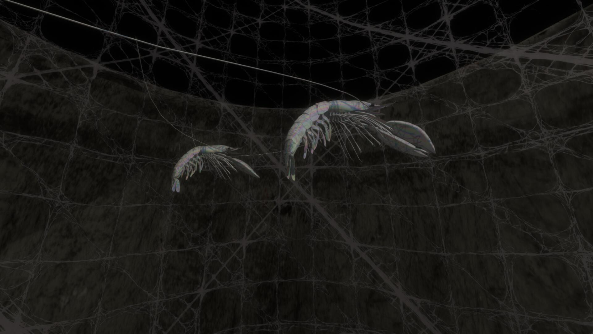 My Inner Ear Quartet screenshot 3