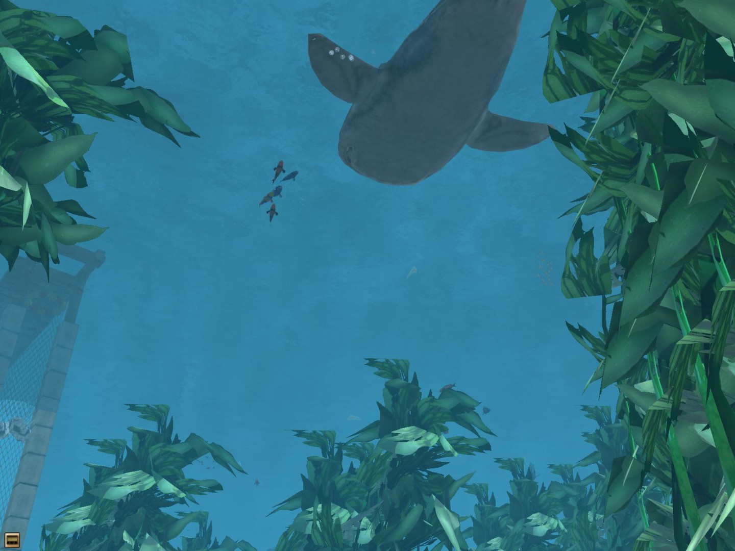 Wildlife Park 2 - Marine World screenshot 1