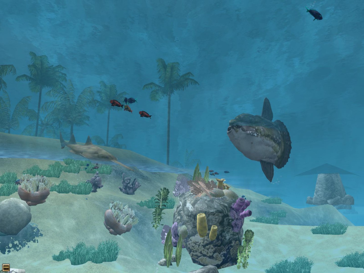 Wildlife Park 2 - Marine World screenshot 4