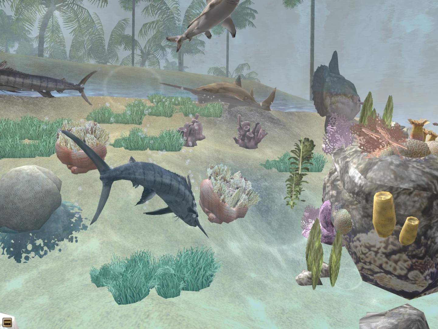 Wildlife Park 2 - Marine World screenshot 3