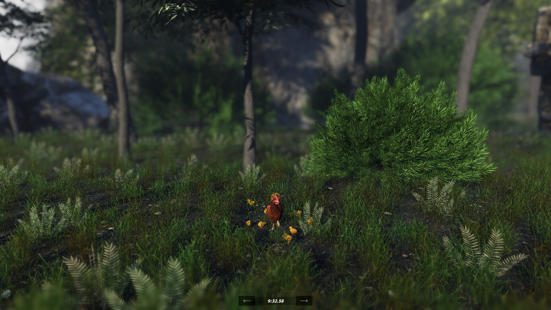 Unlucky Chicken screenshot 5