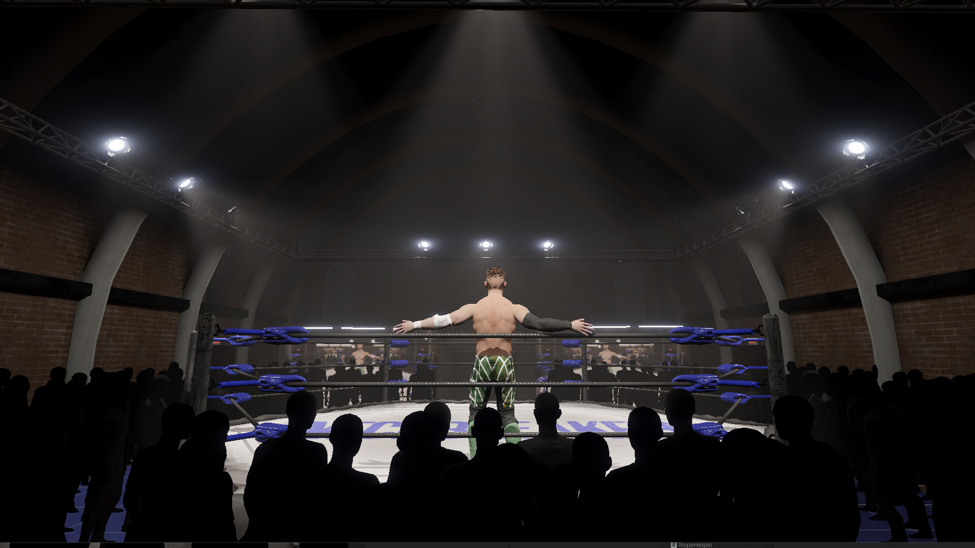 Neckbreaker: Visceral Pro Wrestling screenshot 4