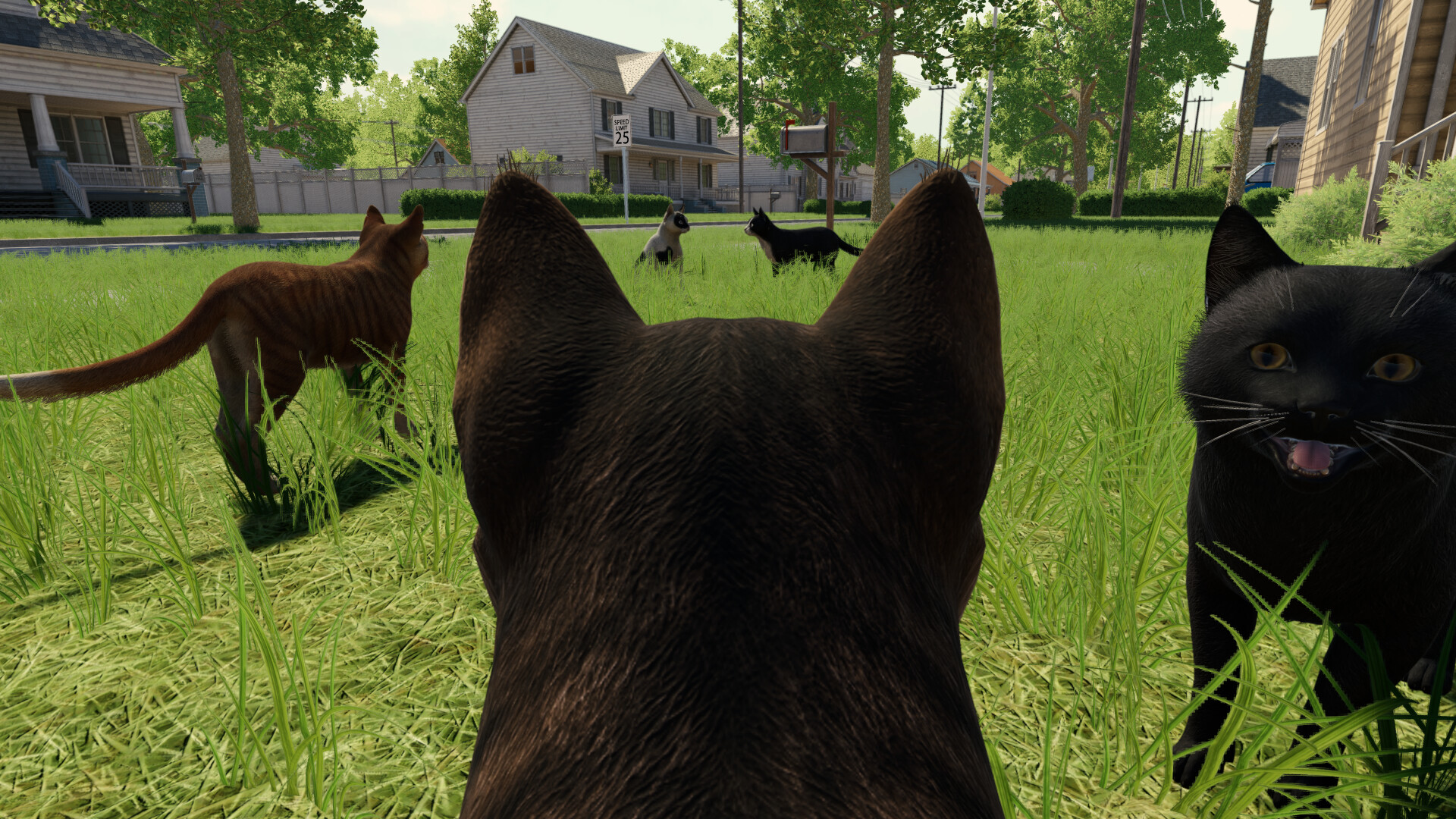 Reign of Cats screenshot 5
