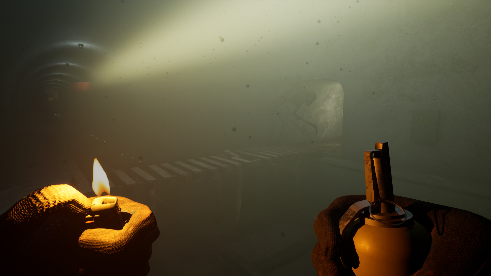 Schizophrenia: R.EM. Protocol screenshot 2