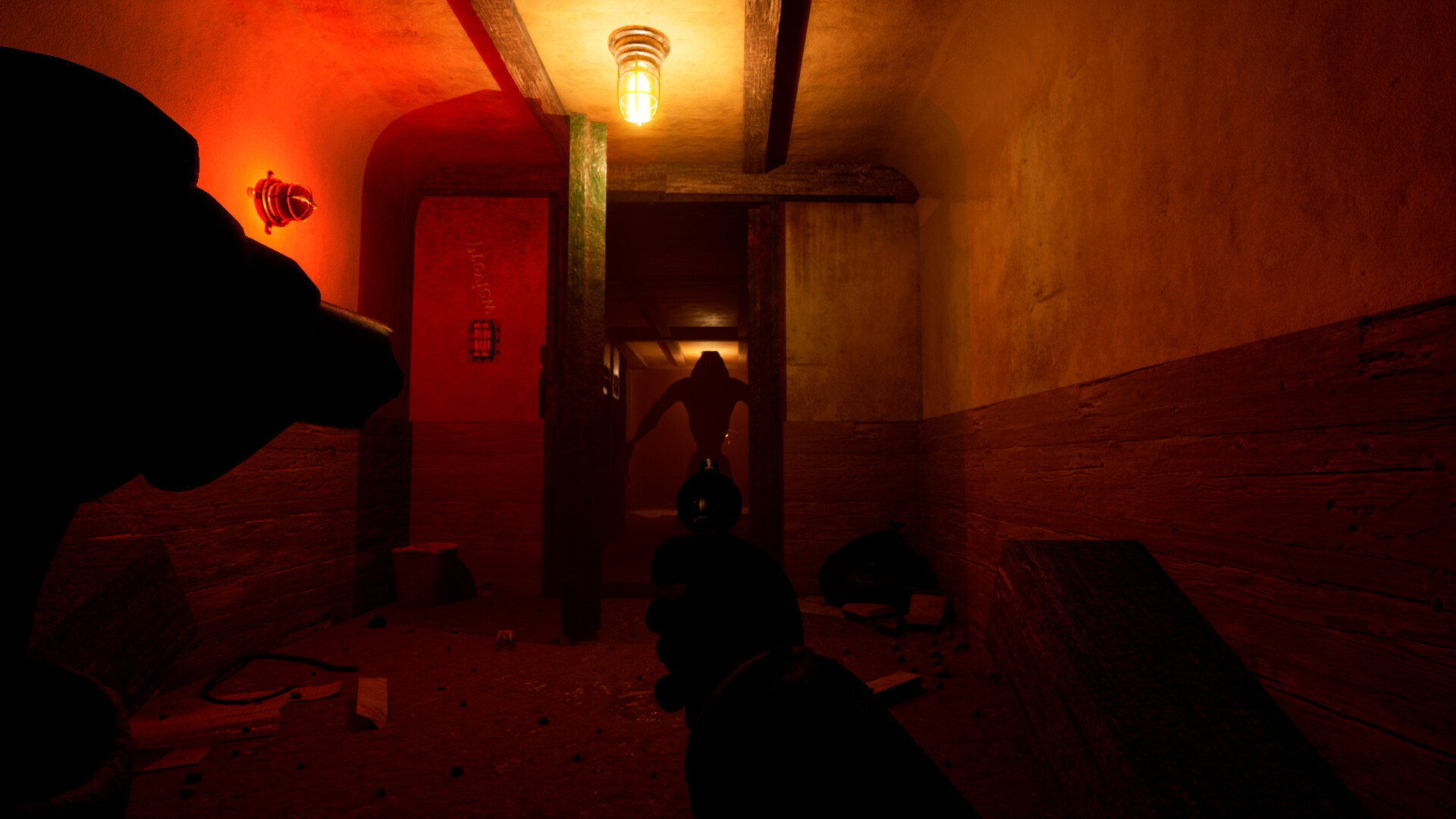 Schizophrenia: R.EM. Protocol screenshot 5