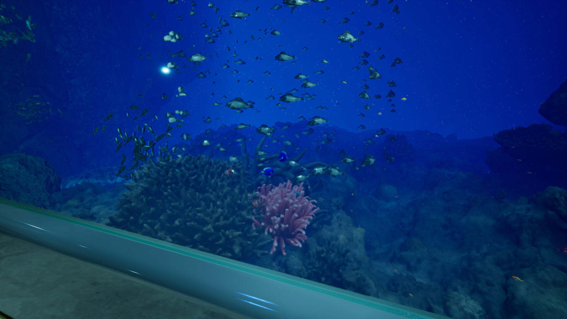 Aquarium at August 32nd screenshot 4