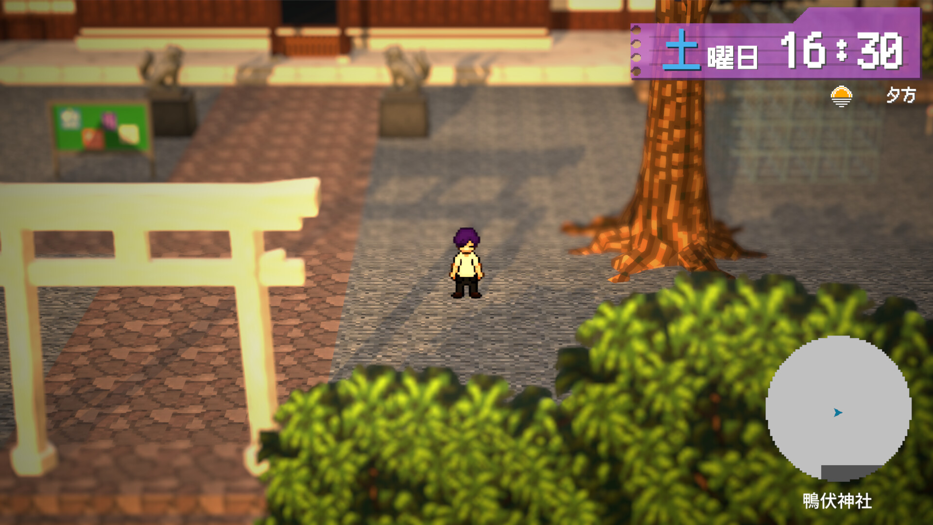 LoopReap screenshot 2