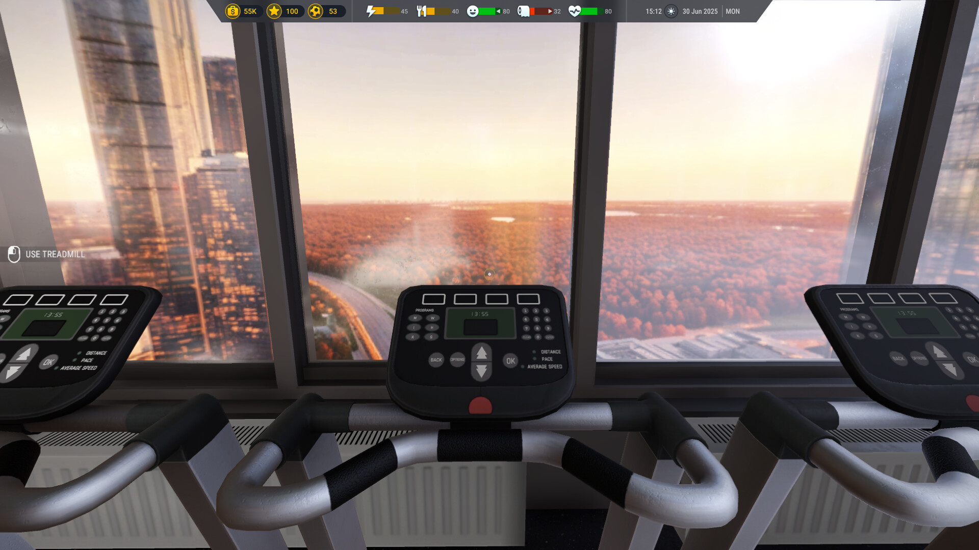 FLS screenshot 4