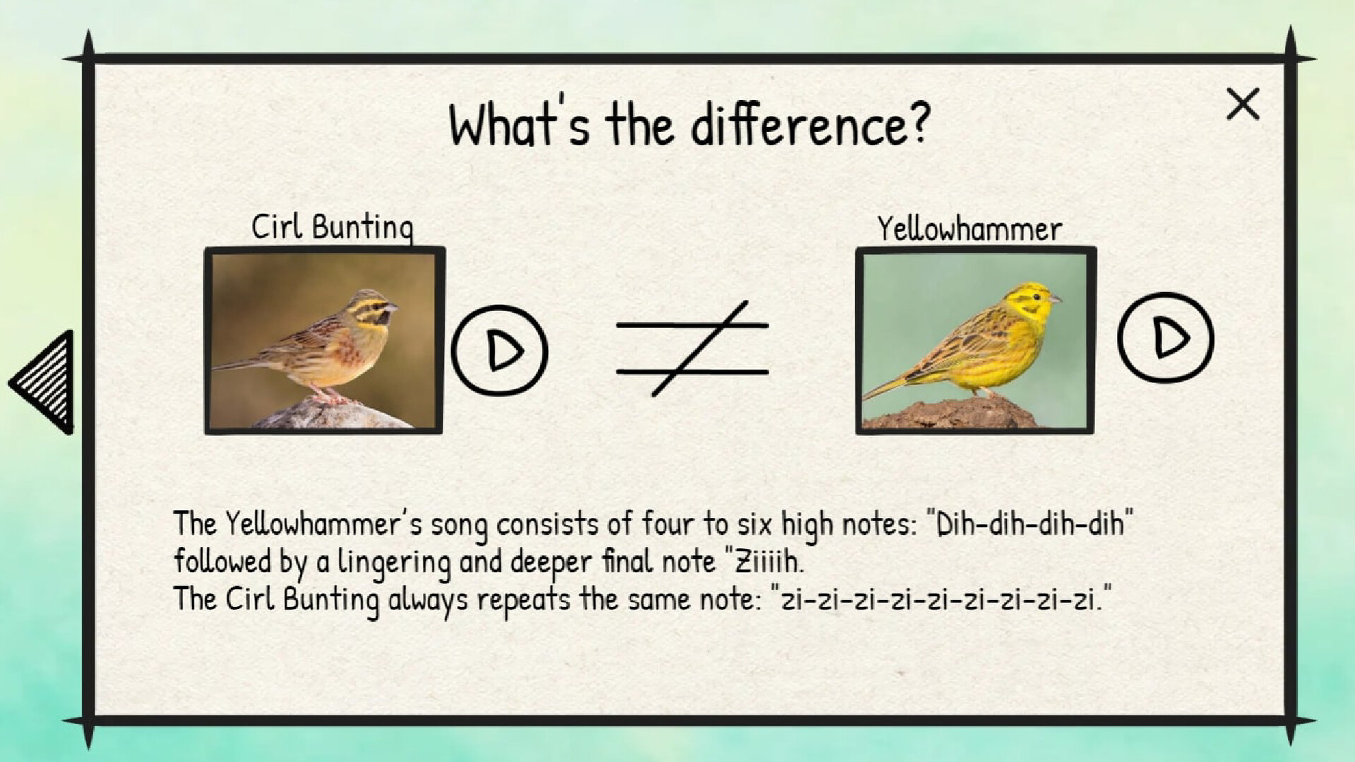 BirdLingo: A birdsong learning game screenshot 7