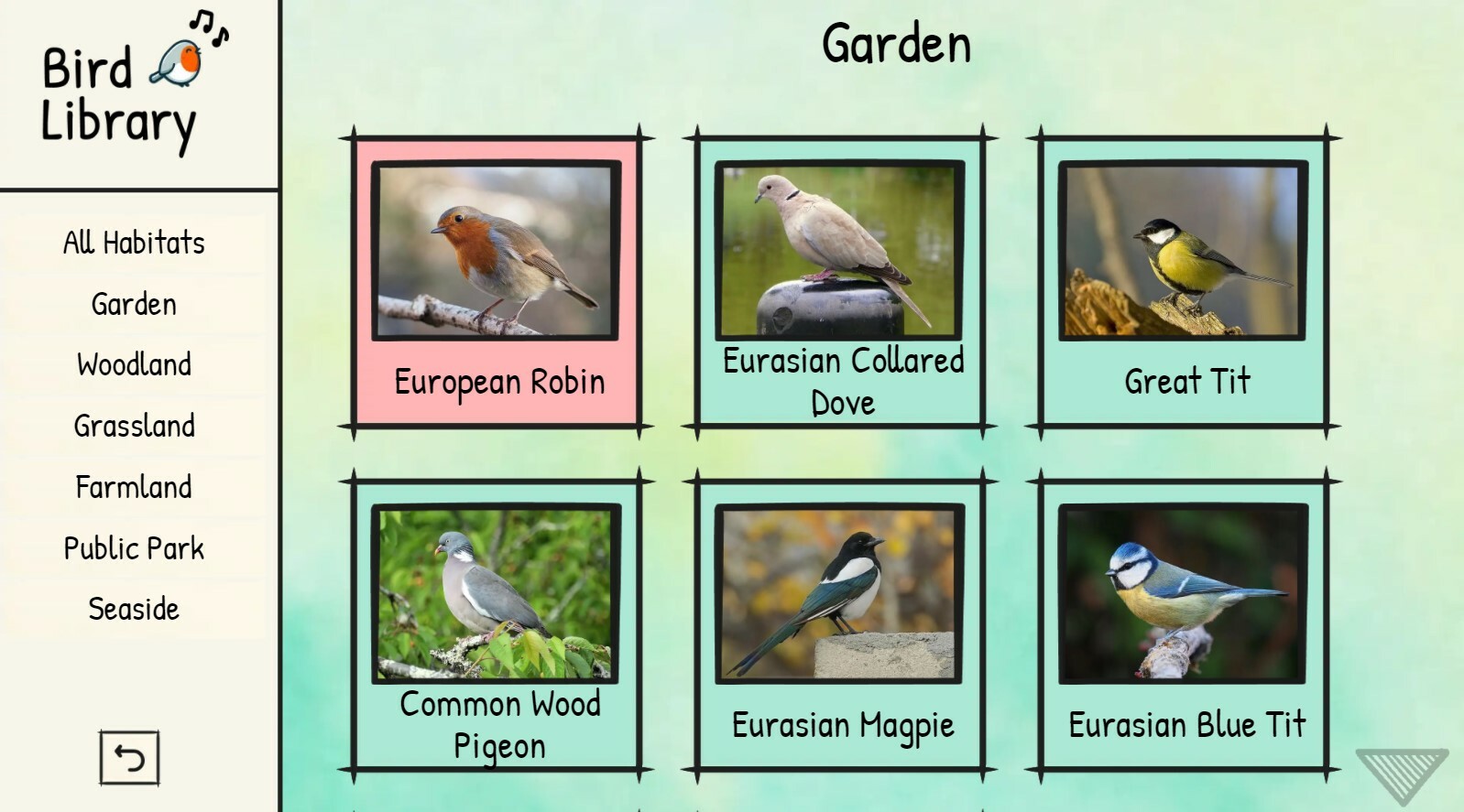 BirdLingo: A birdsong learning game screenshot 4