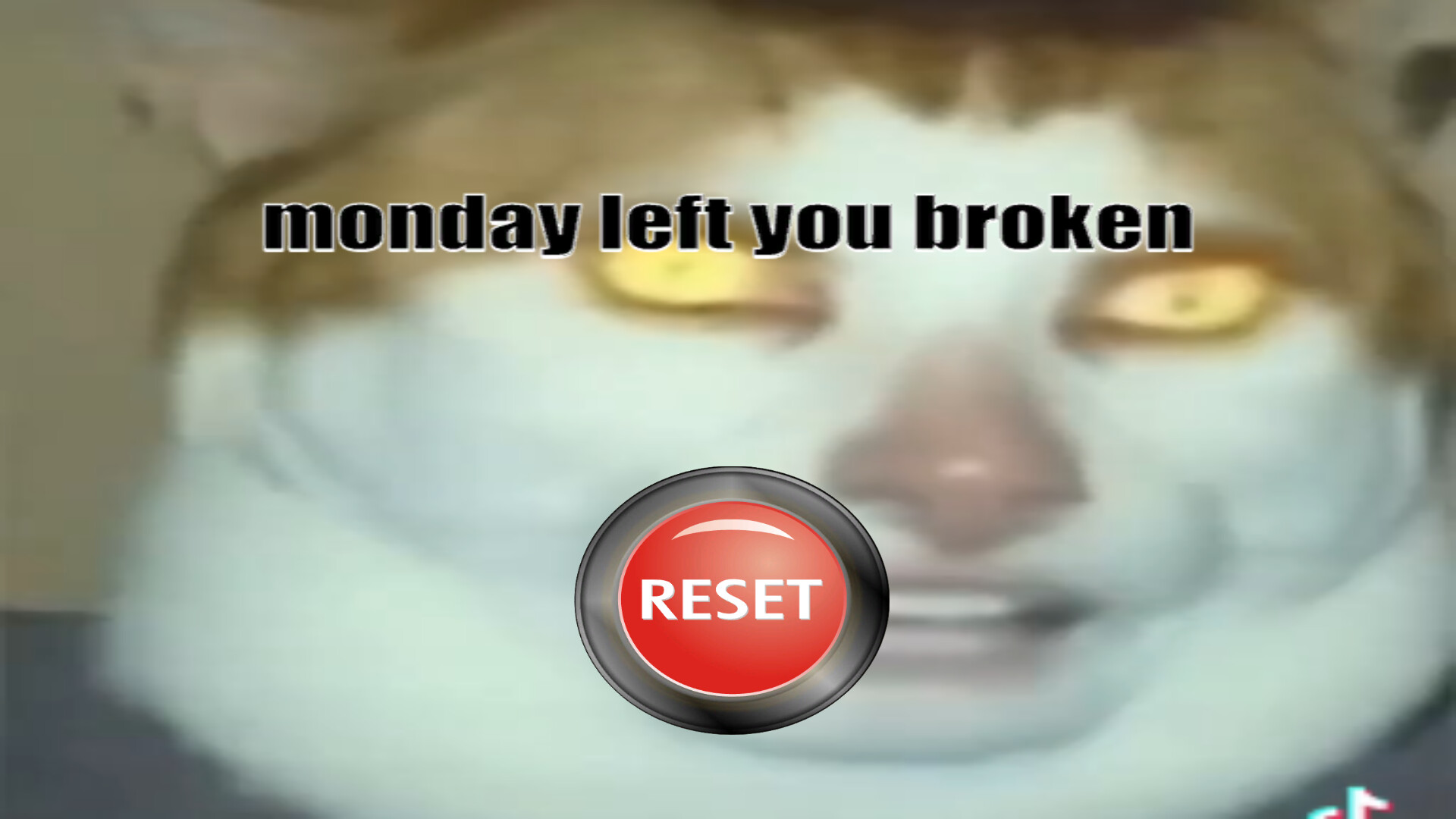 Monday Left Me Broken Collection screenshot 2