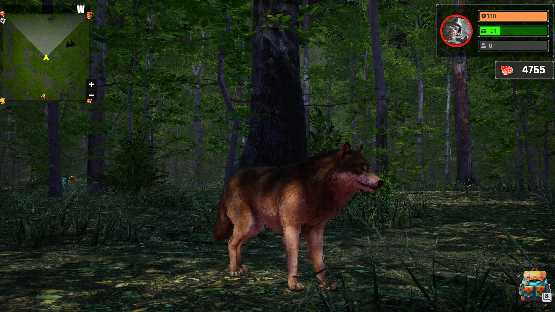 Wolf Simulator: Silent Paws screenshot 4