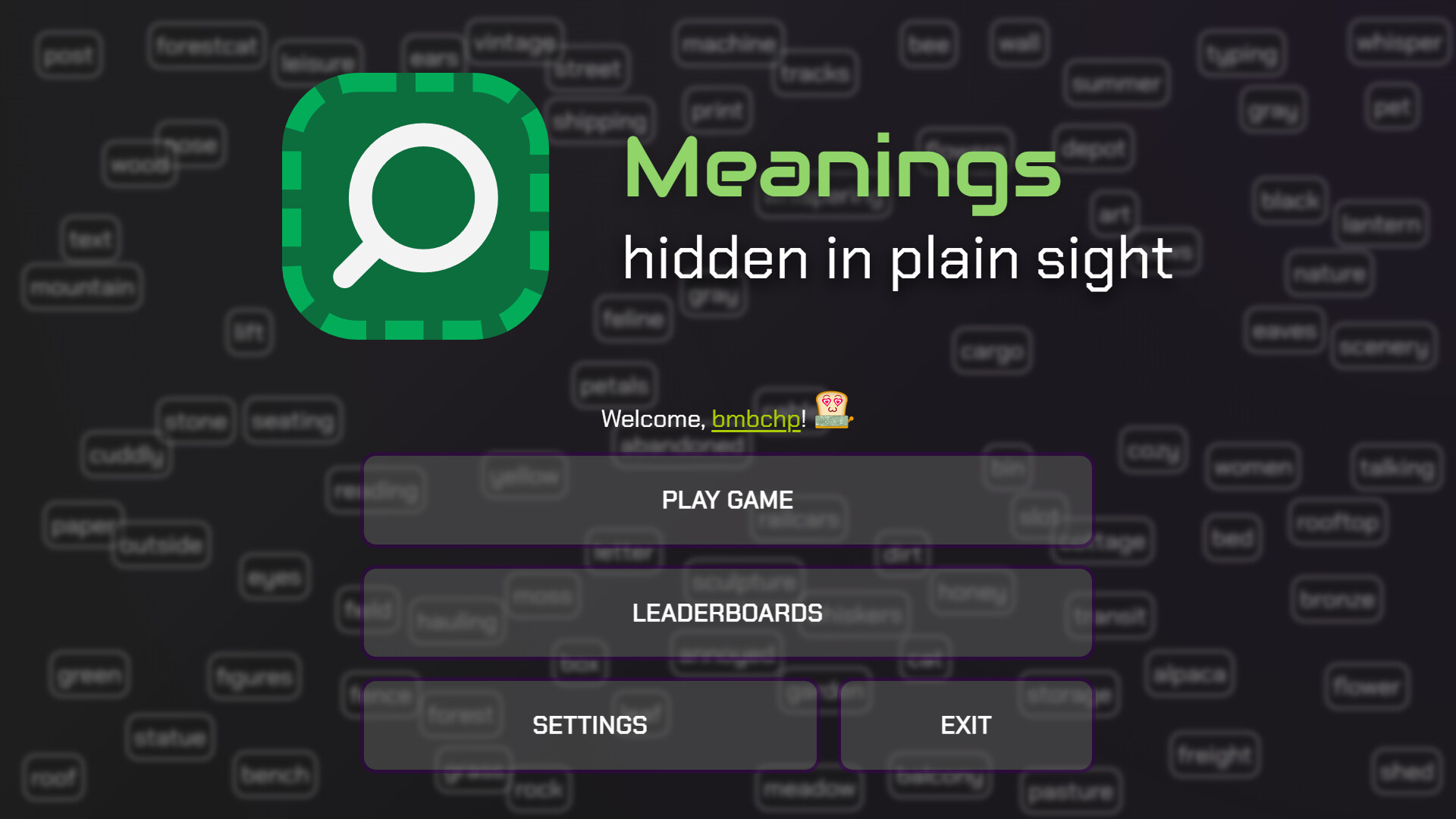 Meanings hidden in plain sight screenshot 1