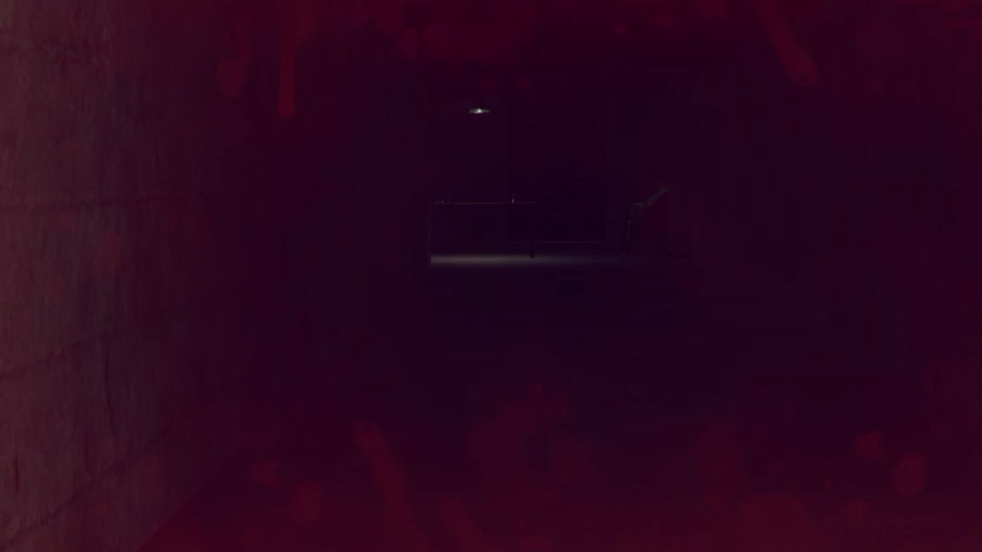 Escape From Vampire Castle: Miss Luna's Diary screenshot 5