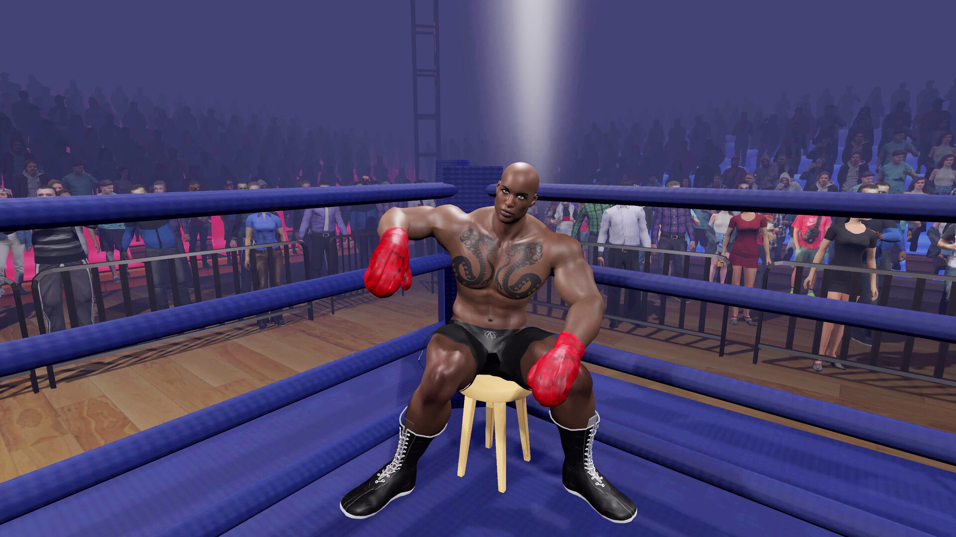 Boxing Knockout Showdown screenshot 3