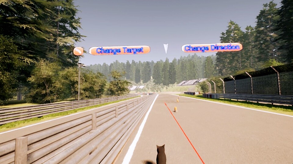 VR Dog Sprint screenshot 2