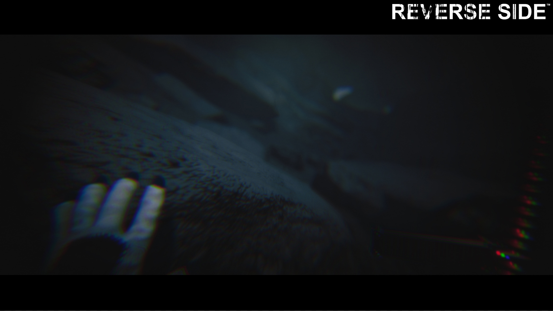 REVERSE SIDE screenshot 5