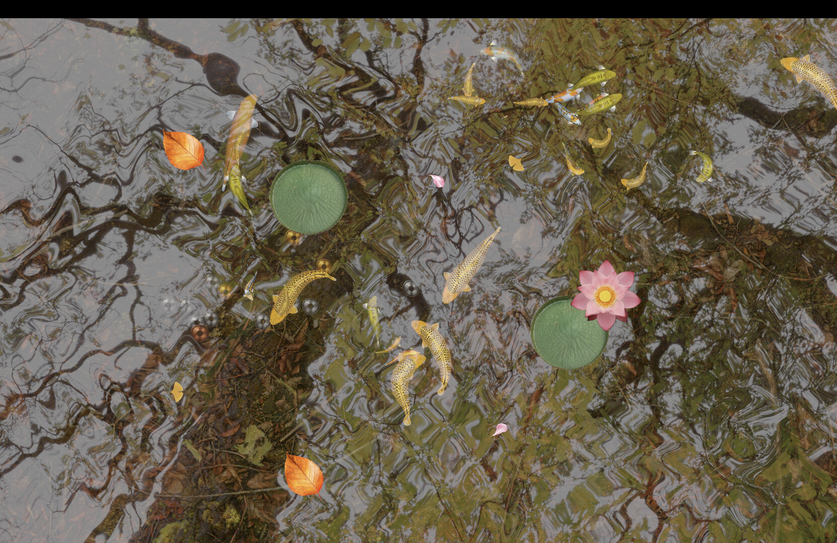 Tranquil Koi 鯉の池 screenshot 2