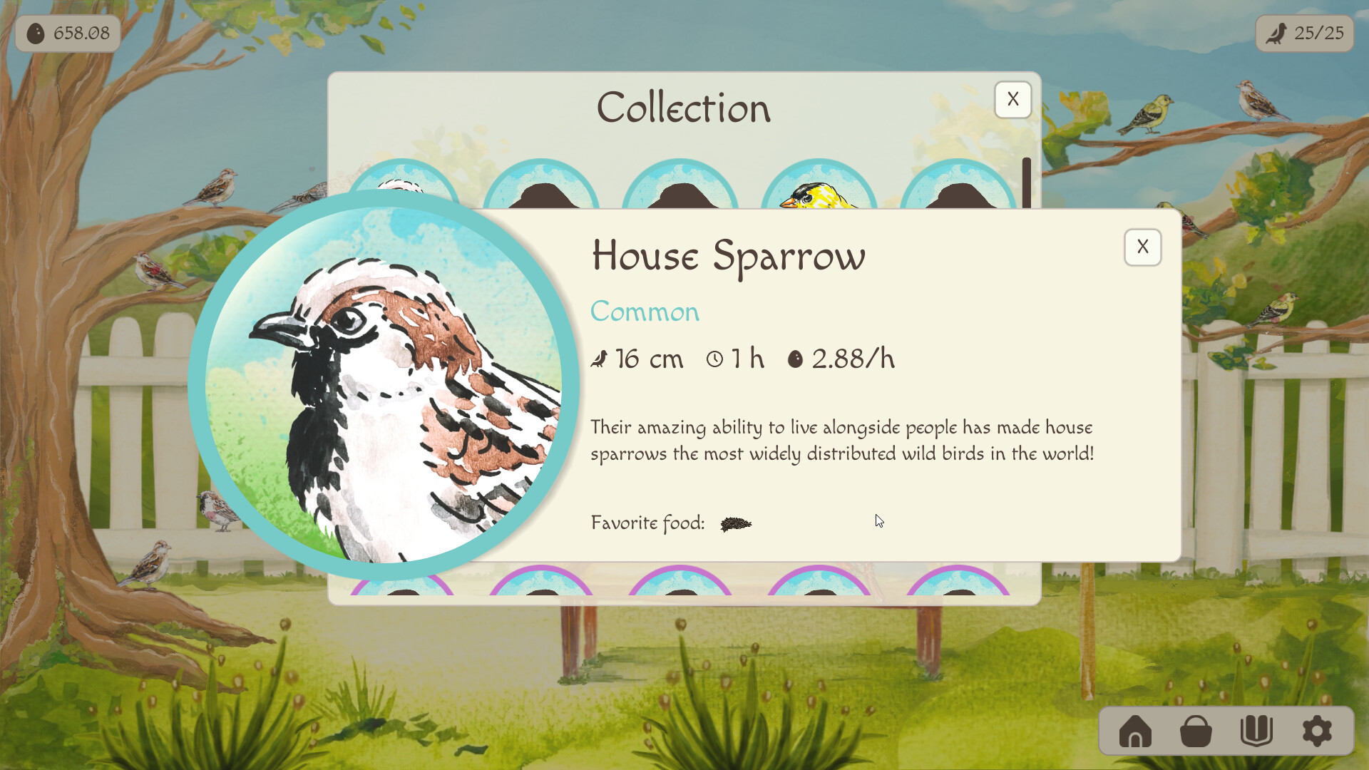 Birdfull screenshot 5
