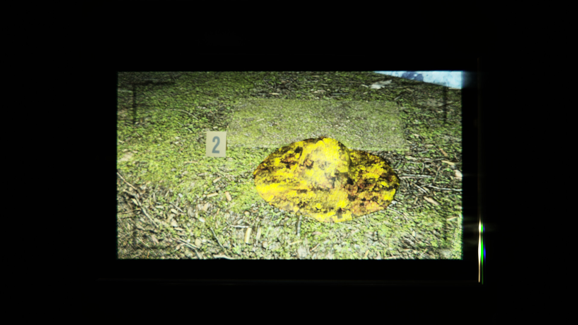 .redruM screenshot 4