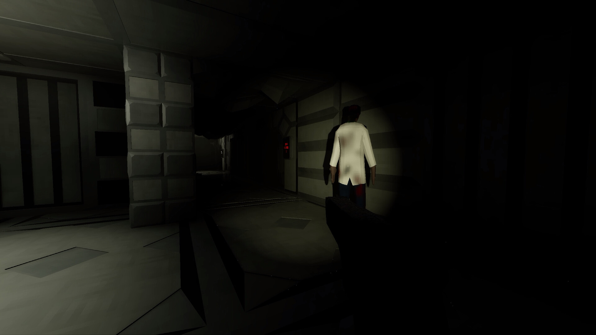 The SS Destiny Disaster screenshot 6