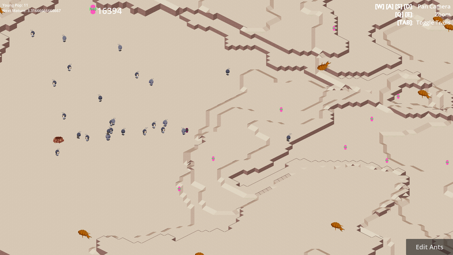 Antbox screenshot 5
