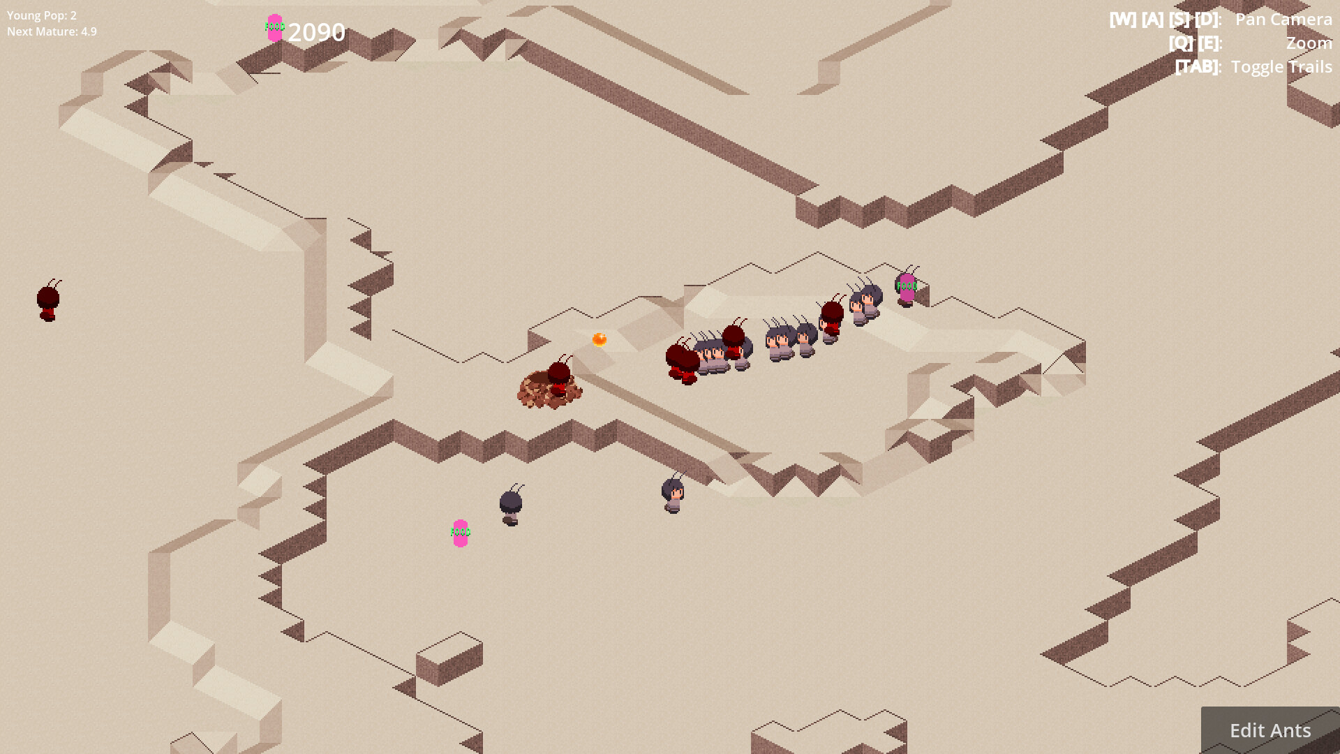 Antbox screenshot 2