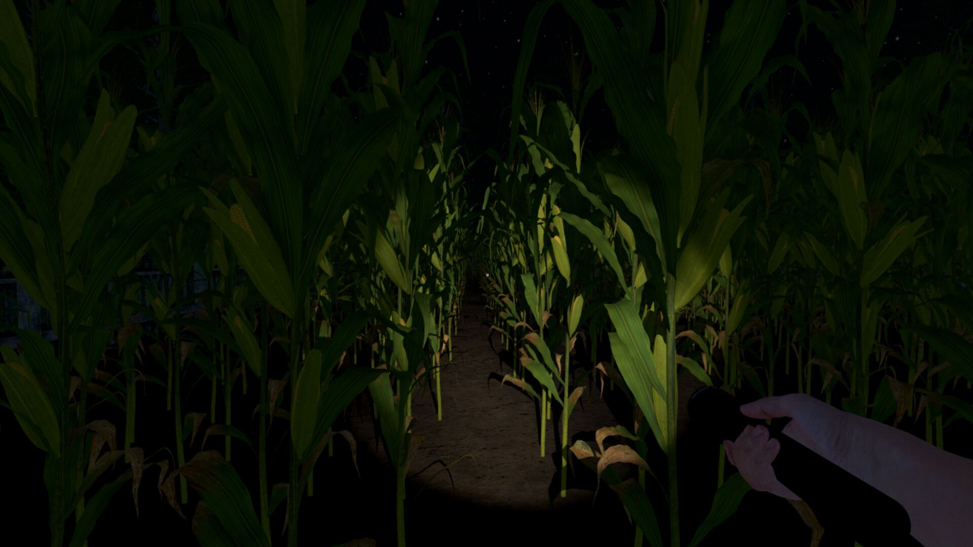 The Greys: Human Abductions screenshot 7
