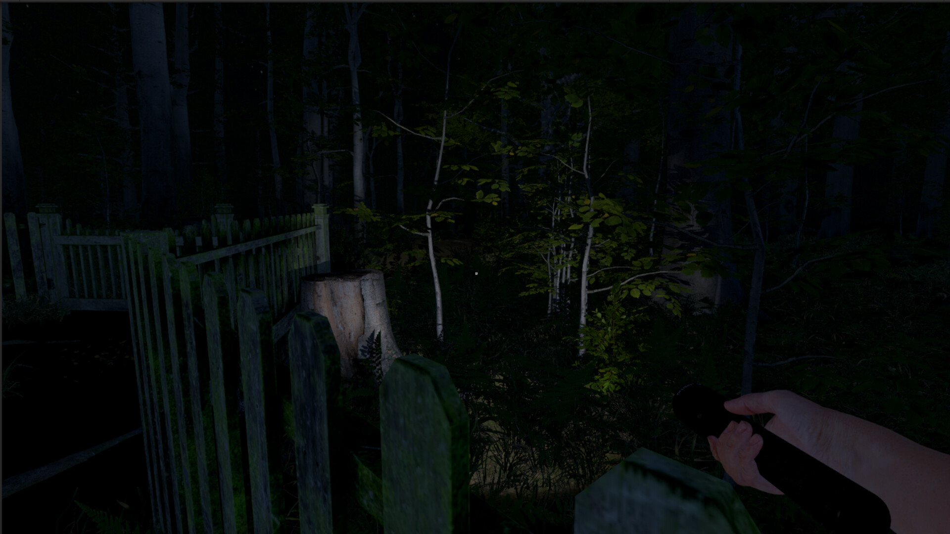 The Greys: Human Abductions screenshot 1