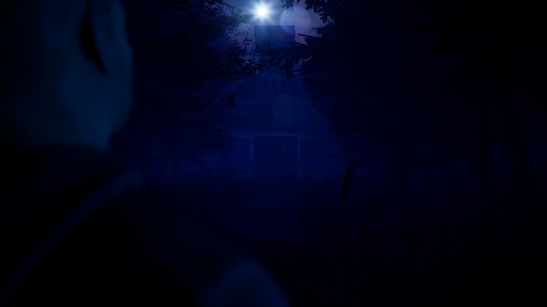 Blue Light screenshot 2