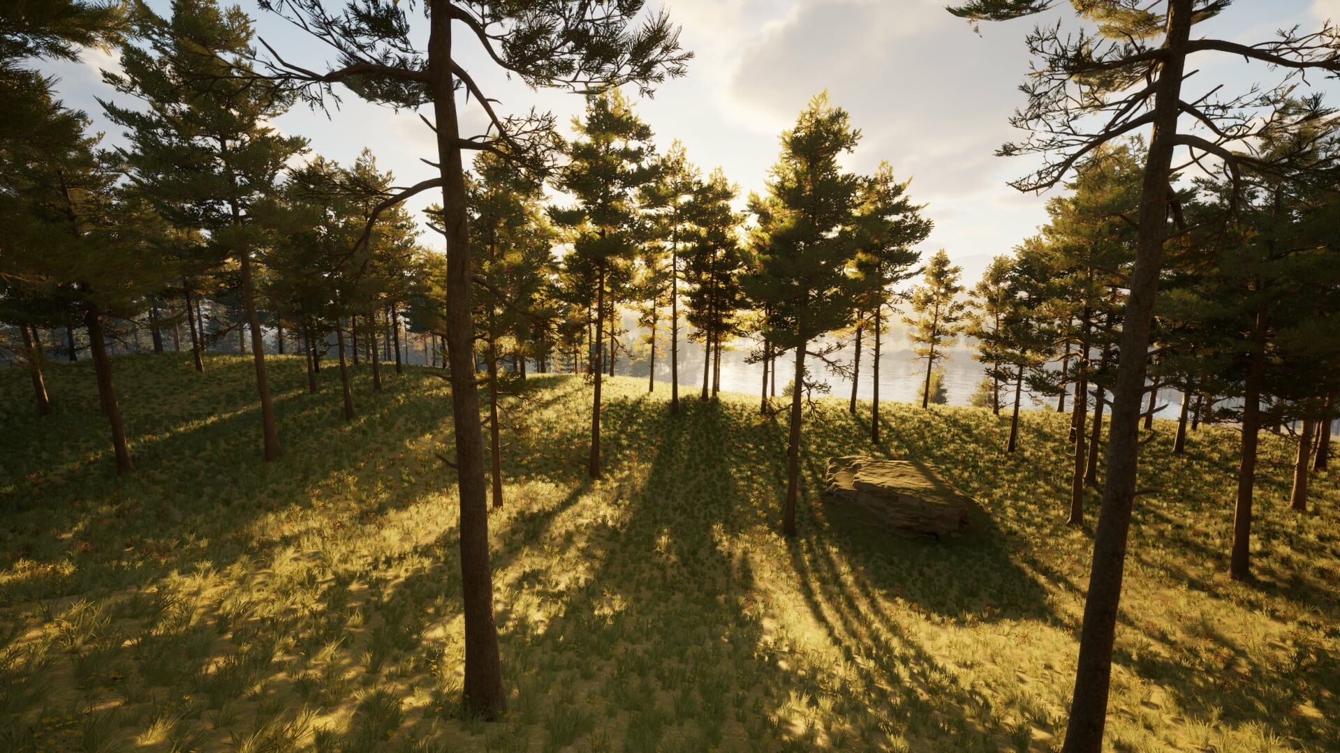 Identity Test screenshot 5