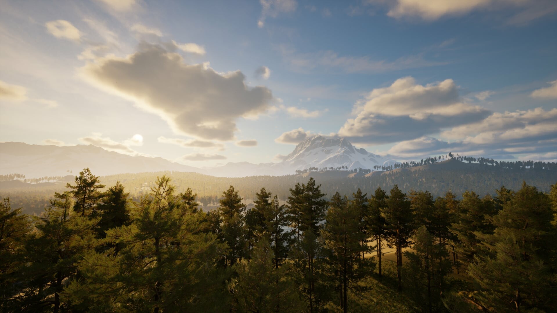 Identity Test screenshot 1