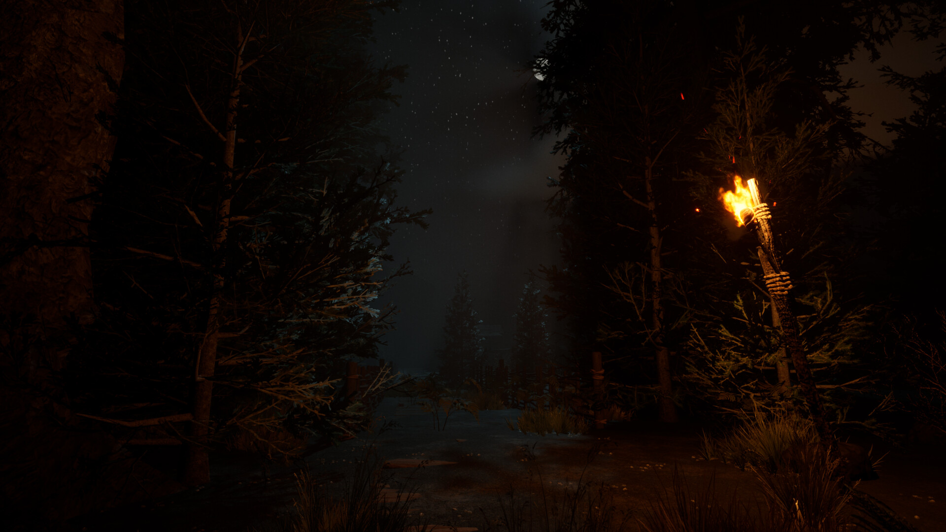 The veil of the forgotten screenshot 4