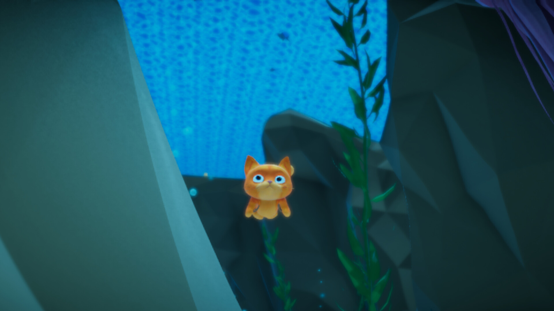 GEORGIE-YOLKIE™ Enhanced screenshot 3