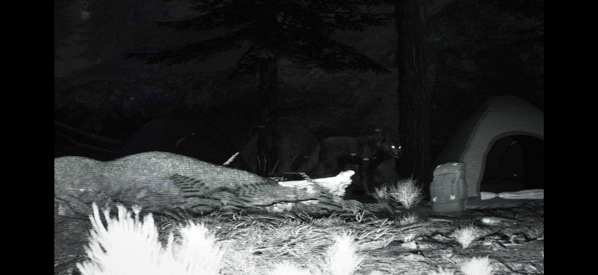TRAILCAM screenshot 2