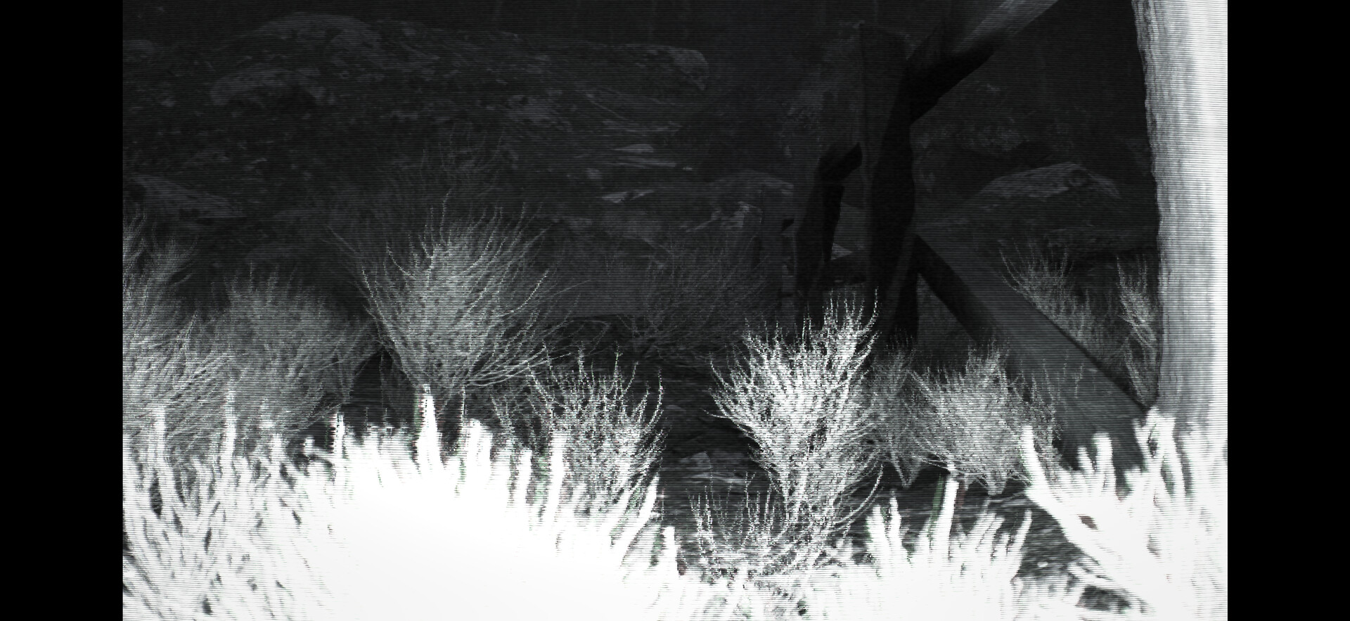 TRAILCAM screenshot 5