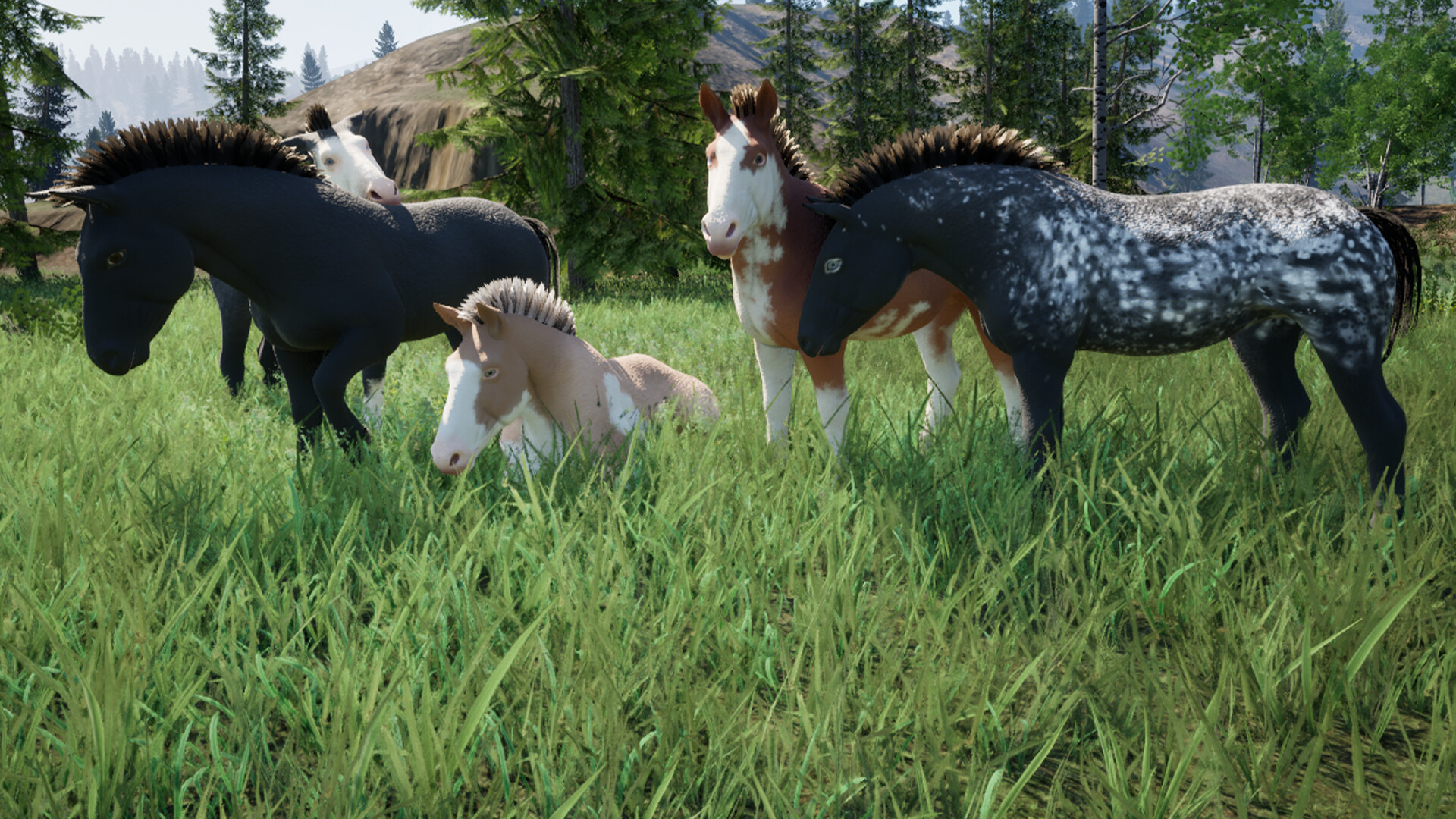 The Wild screenshot 3