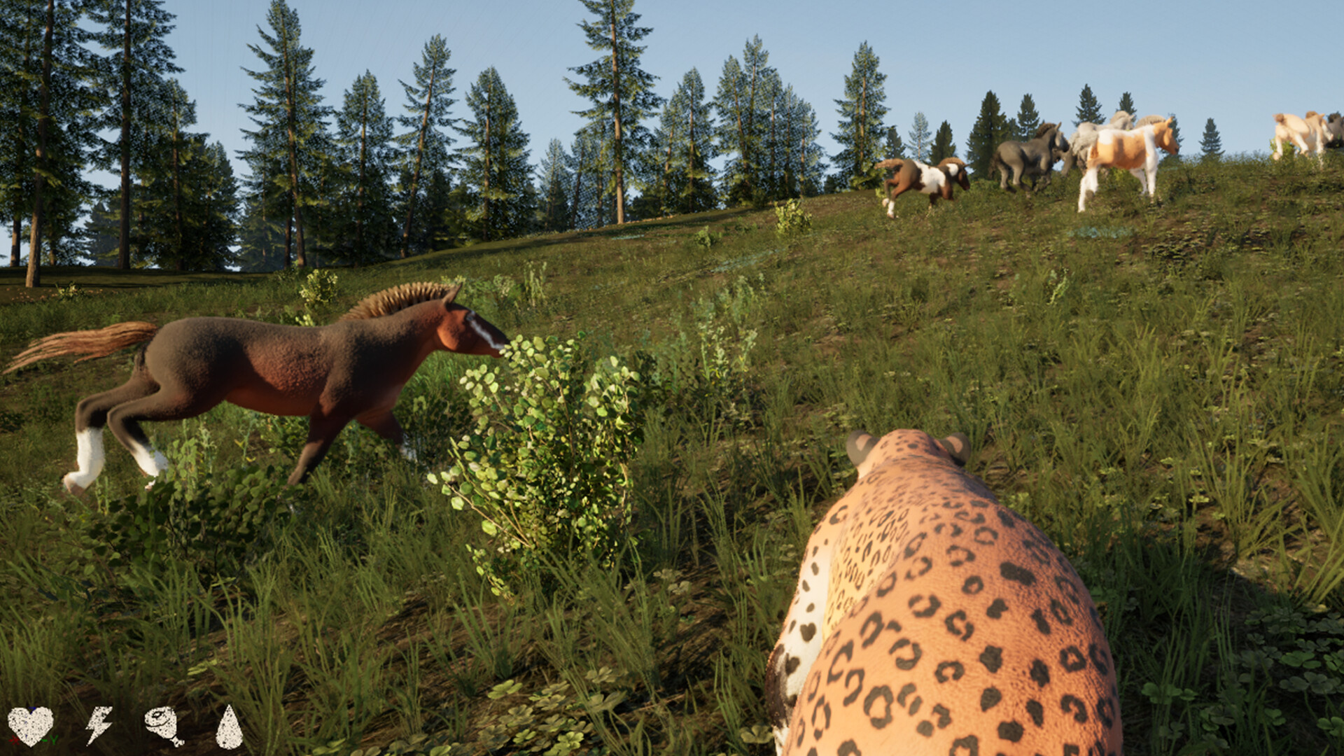 The Wild screenshot 1