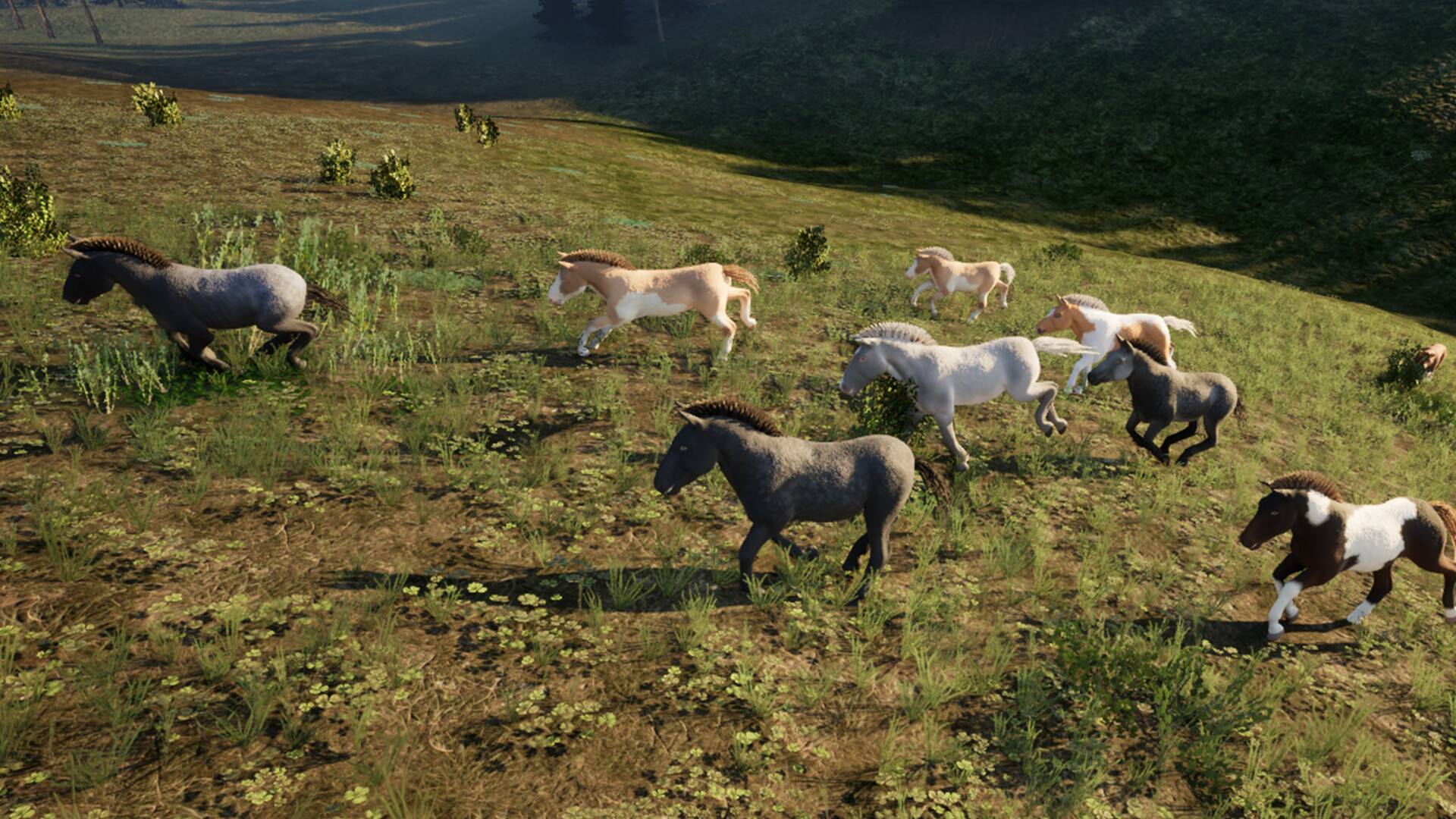 The Wild screenshot 2