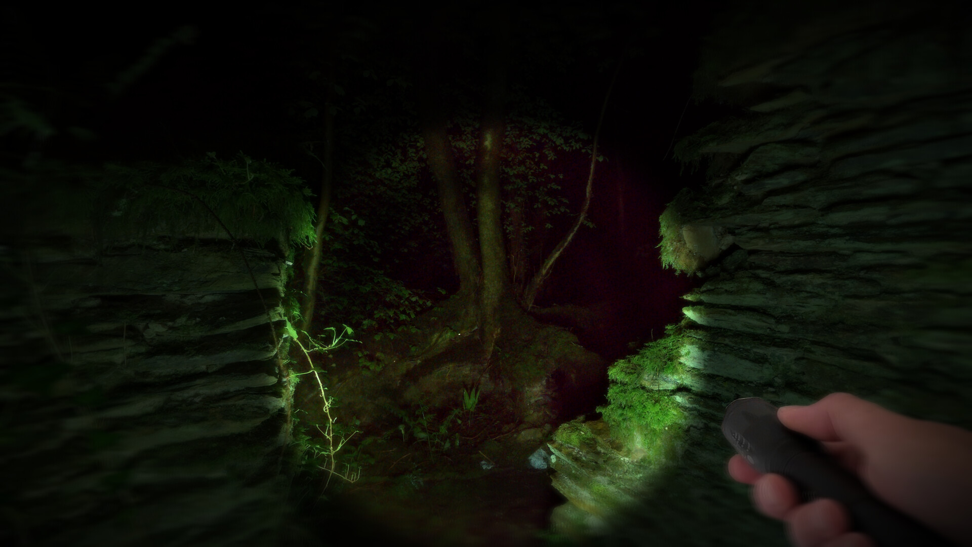 Wychwood Hollow screenshot 11