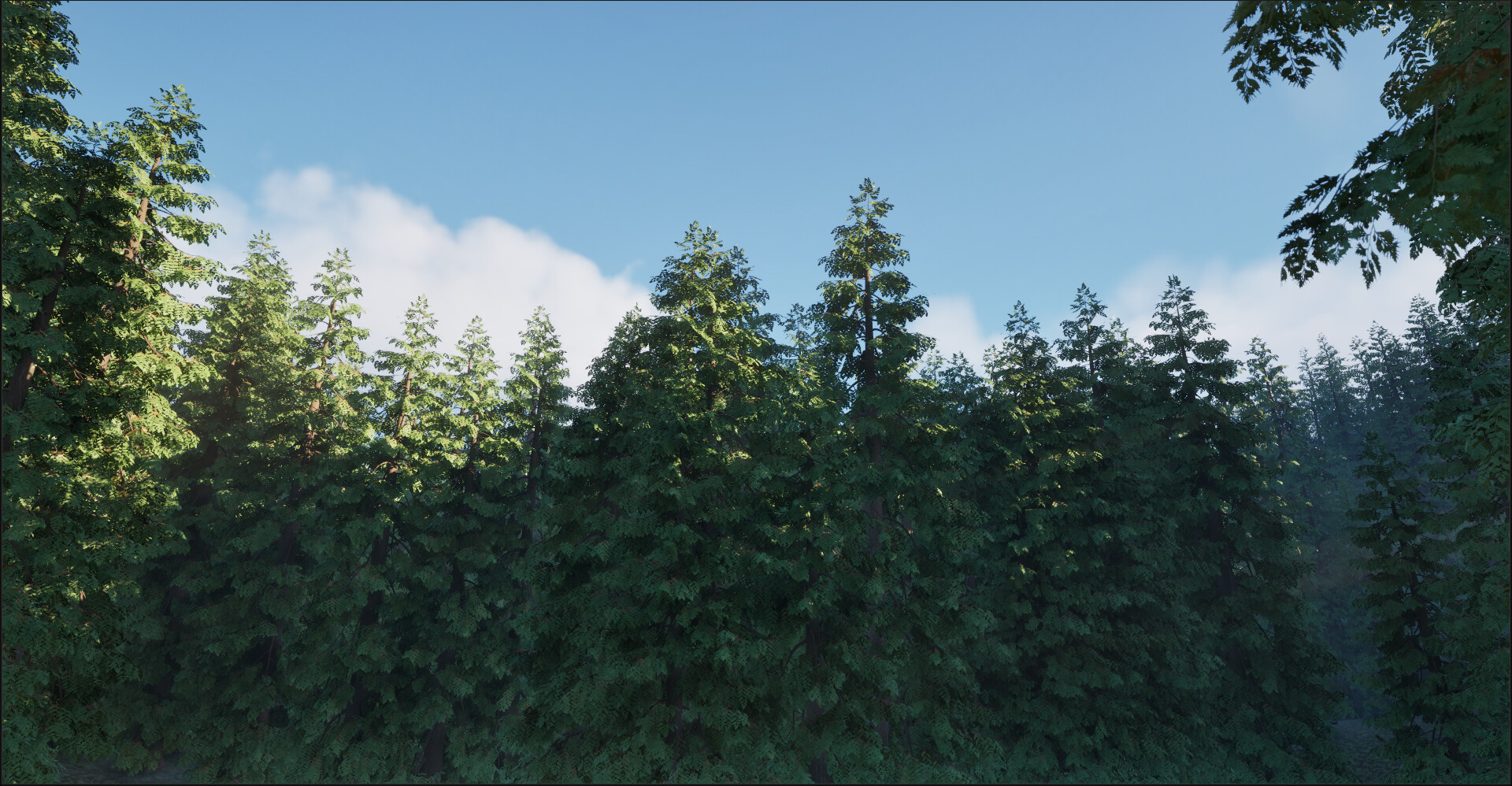 In The Woods screenshot 5
