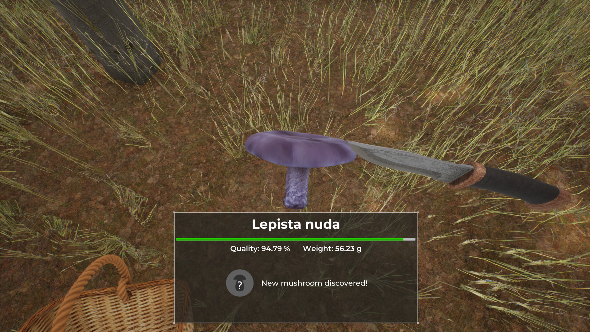 Mushroom Hunter World screenshot 8
